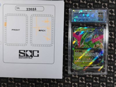 SN33688