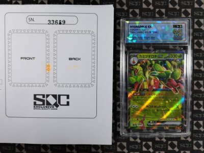 SN33689