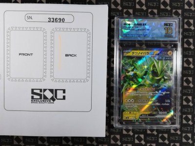SN33690