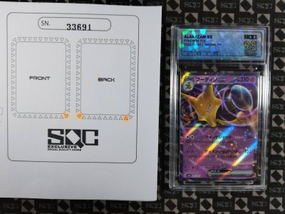 SN33691