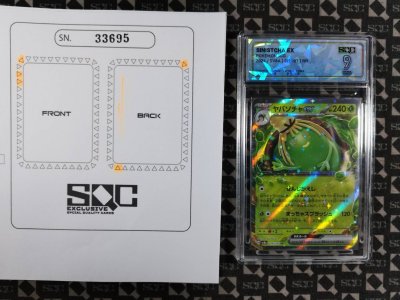 SN33695