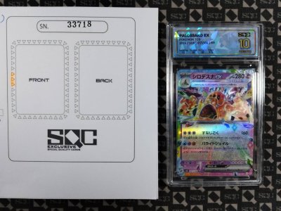 SN33718