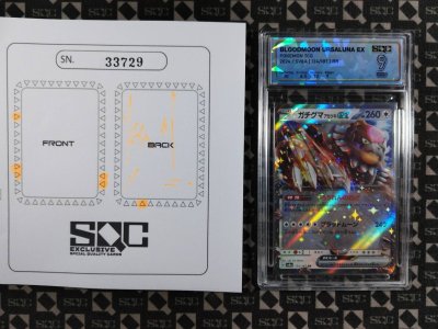 SN33729