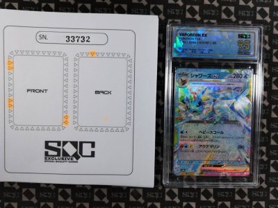SN33732