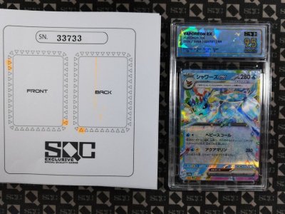 SN33733
