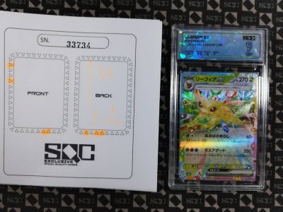 SN33734