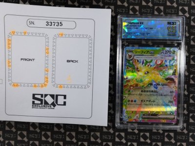 SN33735