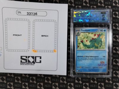 SN33736