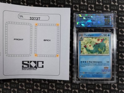 SN33737