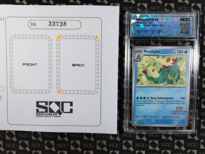 SN33738