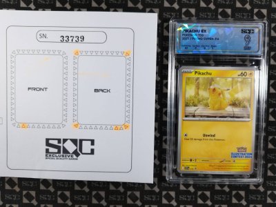 SN33739
