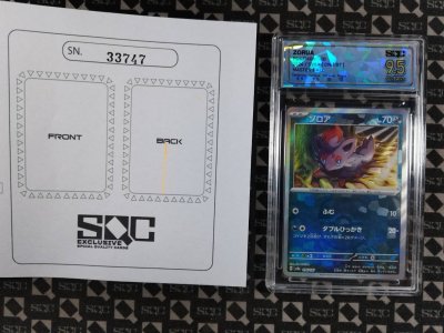 SN33747