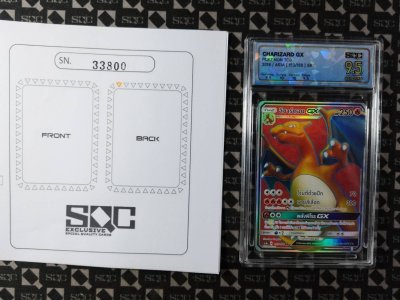 SN33800