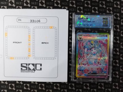 SN33806