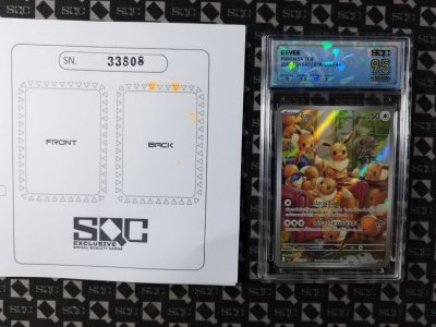 SN33808