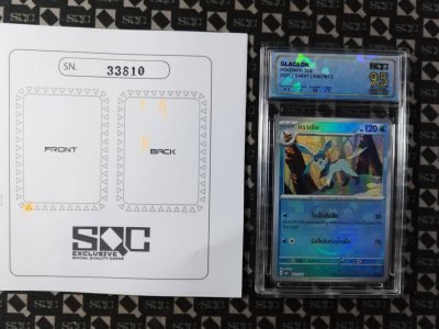 SN33810