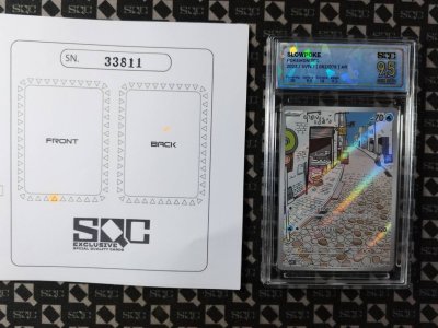 SN33811