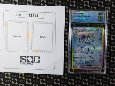 SN33813