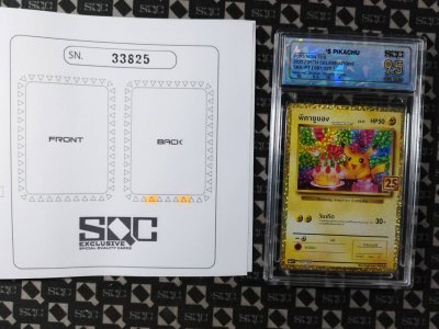 SN33825