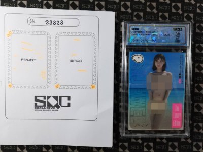 SN33828
