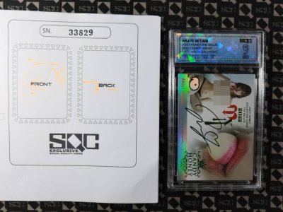 SN33829