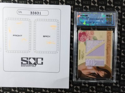 SN33831