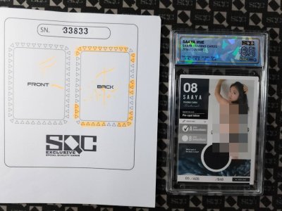 SN33833