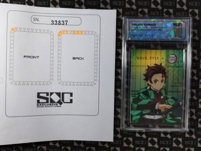 SN33837
