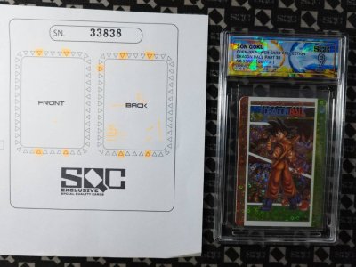SN33838