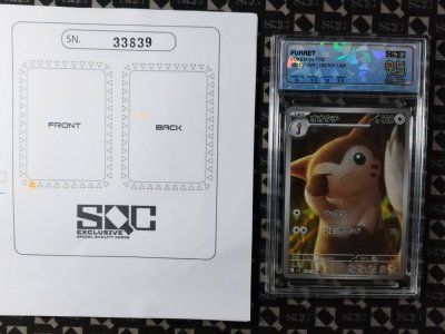 SN33839