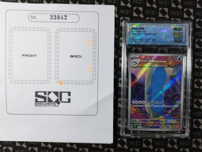SN33842