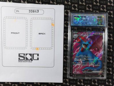 SN33843