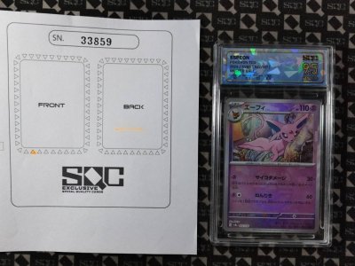 SN33859