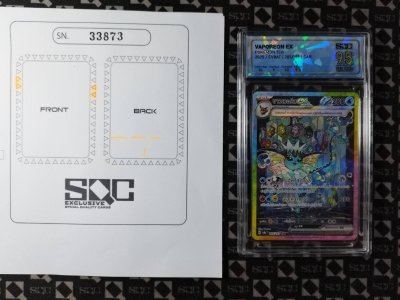 SN33873