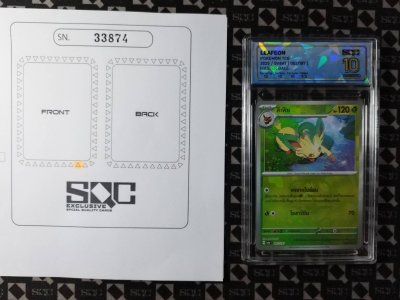 SN33874