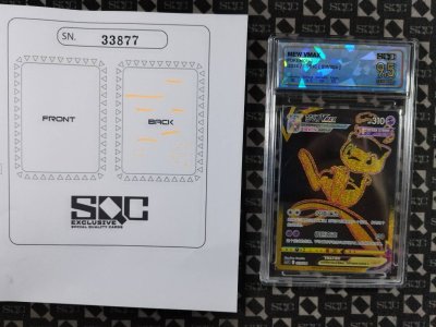 SN33877