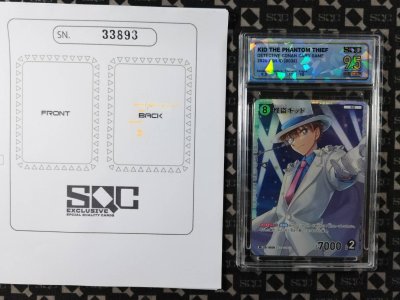 SN33893