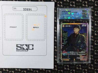 SN33894