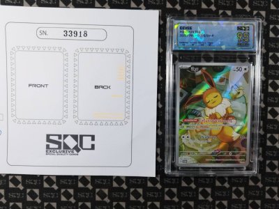 SN33918