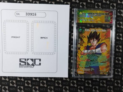 SN33928