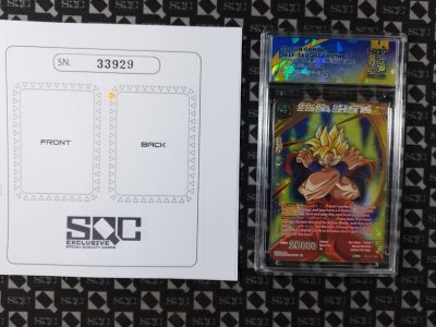 SN33929