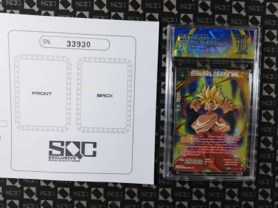 SN33930