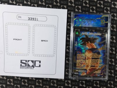 SN33931