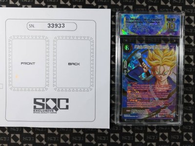 SN33933