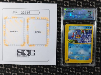 SN33936