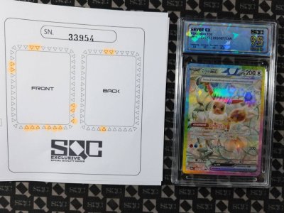 SN33954