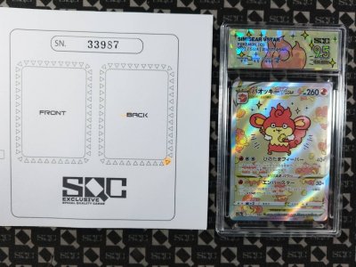 SN33987