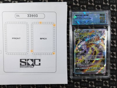 SN33993