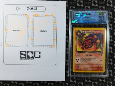 SN34048