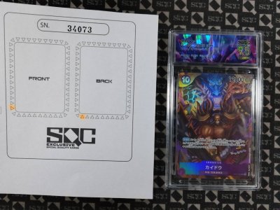 SN34073